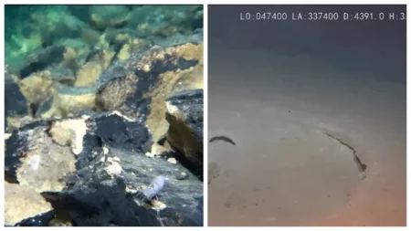 حقل كونلون الغامض.. اكتشاف ضخم في أعماق المحيط الهادئ