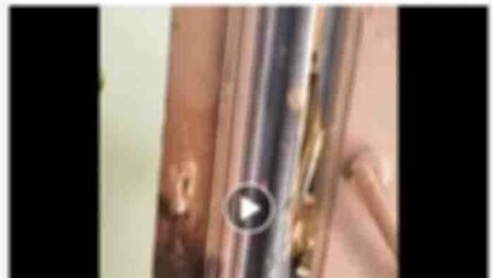 الداخلية تكشف حقيقة فيديو تعدي شقيق الزوج على سيدة وأبنائها بالدقهلية