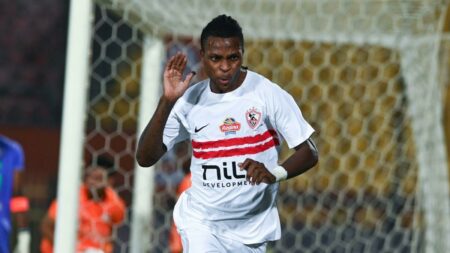 خاص | إستريلا البرتغالي يواصل هجومه على الزمالك بسبب صفقة شيكو بانزا خاص | إستريلا البرتغالي يواصل هجومه على الزمالك بسبب صفقة شيكو بانزا