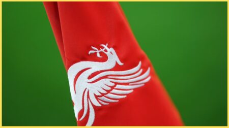 انفصال عضلة الفخذ عن العظم.. جراحة تنتظر مهاجم ليفربول بعد إصابة بالغة انفصال عضلة الفخذ عن العظم.. جراحة تنتظر مهاجم ليفربول بعد إصابة بالغة