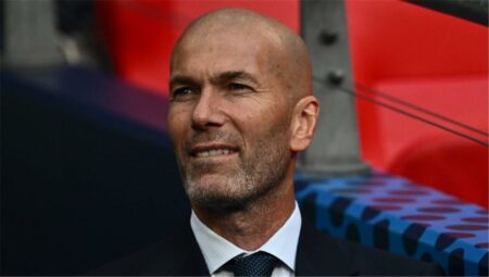 زيدان: سأعود إلى التدريب.. وأنشيلوتي لعب دورًا مهمًا في مسيرتي