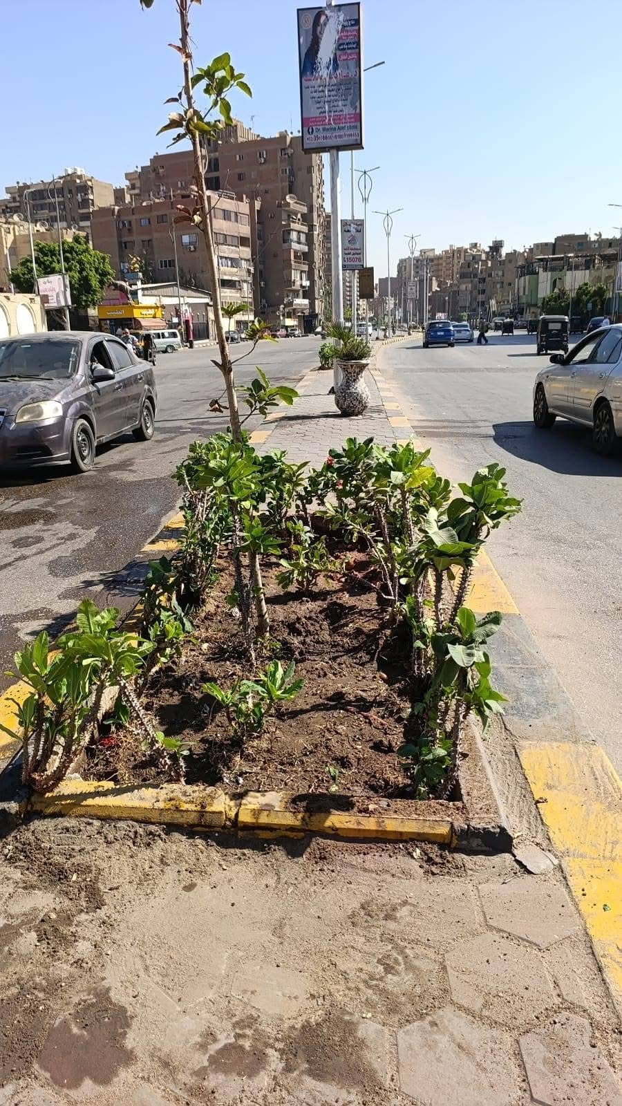 محافظة الجيزة يتابع جهود دعم المسطحات الخضراء وحملات النظافة بالشوارع