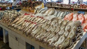 أسعار الأسماك بسوق العبور اليوم الأحد 11 يناير 2026