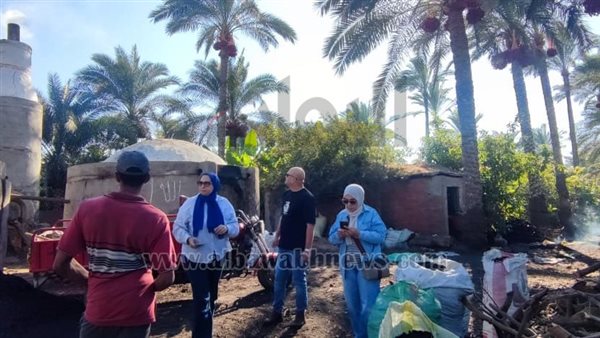 "شئون البيئة بالمنصورة":" يشن “10”حملات على مكامير فحم بمدينة كفر البطيخ "شئون البيئة بالمنصورة":" يشن “10”حملات على مكامير فحم بمدينة كفر البطيخ