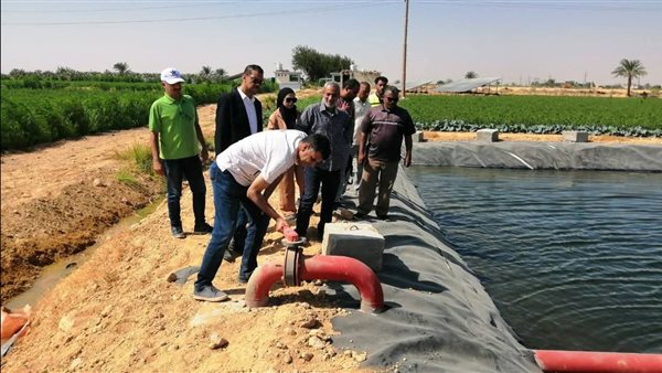 "الزراعة" تتابع مشروعات تطوير وتحديث الري ودعم المزارعين بالمنيا وبني سويف "الزراعة" تتابع مشروعات تطوير وتحديث الري ودعم المزارعين بالمنيا وبني سويف