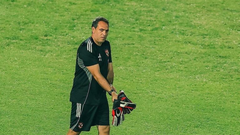 أمير عبد الحميد: الشناوي رقم واحد في إفريقيا.. ومصطفى شوبير يذكرني بنفسي