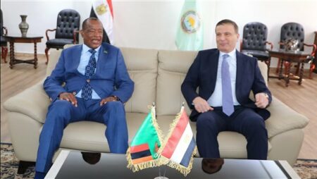 علاء فاروق ووزير الداخلية الزامبي يناقشان موقف المزارع المصرية المشتركة