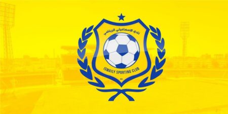 وزير الرياضة يعلن تشكيل لجنة مؤقتة لإدارة الإسماعيلي وزير الرياضة يعلن تشكيل لجنة مؤقتة لإدارة الإسماعيلي