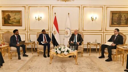 وزير الري يلتقي نظيره الصومالي ضمن فعاليات أسبوع القاهرة الثامن للمياه