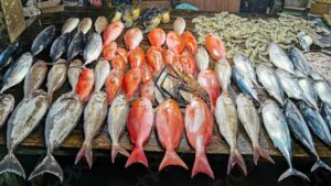 سعر الأسماك مساء اليوم الجمعة 5 ديسمبر 2025