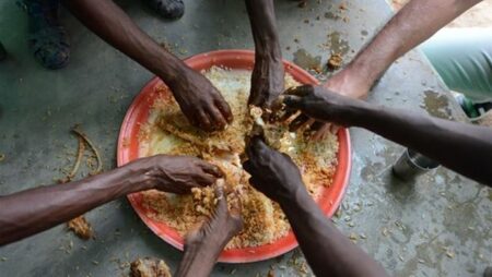 الصين تؤكد التزامها بتعزيز الأمن الغذائي العالمي وتحقيق أهداف التنمية المستدامة