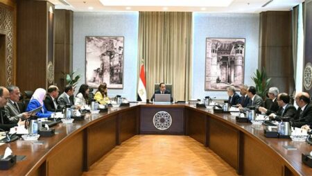 رئيس الوزراء يتابع الموقف التنفيذي لأعمال تطوير ورفع كفاءة بحيرة البردويل