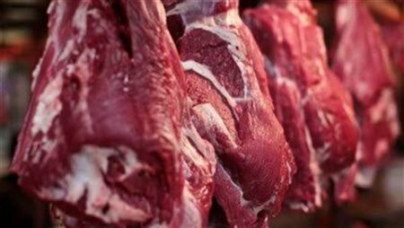 استقرار أسعار اللحوم في الأسواق اليوم.. والكندوز يبدأ من 360 جنيها للكيلو