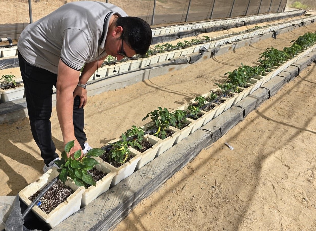 مدير معهد بحوث إدارة المياه يتفقد المحطة البحثية بوادي النطرون