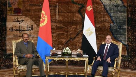 قمة مصرية إريتيرية بالقاهرة.. السيسي وأفورقي يؤكدان أهمية تعزيز التعاون الاقتصادي والاستثماري