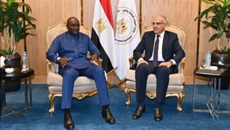قبل انطلاق أسبوع القاهرة الثامن للمياه.. وزير الري يلتقي نظيره السنغالي