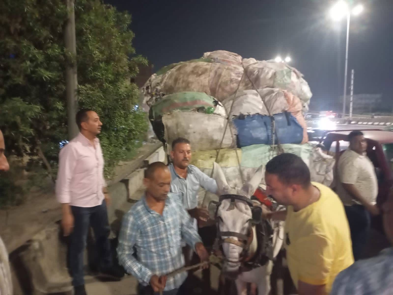 لليوم الثالث على التوالي.. محافظة الجيزة تواصل حملاتها الليلية على “الفريزة والعربات الكارو”