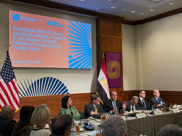 وزير المالية: نتطلع لتعزيز مساهمات واستثمارات الشركات الأمريكية في الاقتصاد المصري