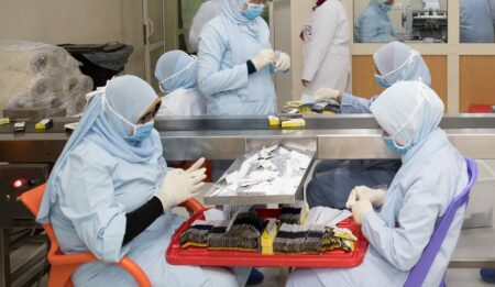 مساهم يخفض حصته في رأسمال «إيكمي» بقيمة 6.1 مليون جنيه مساهم يخفض حصته في رأسمال «إيكمي» بقيمة 6.1 مليون جنيه