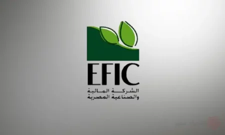 تراجع أرباح «المالية والصناعية المصرية» بنسبة 43% خلال 9 شهور تراجع أرباح «المالية والصناعية المصرية» بنسبة 43% خلال 9 شهور