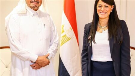 وزيرة التخطيط تبحث سبل التعاون مع رئيس مجموعة مستشفيات السعودي الألماني