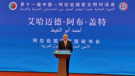 أبو الغيط: الحوار العربي- الصيني ضرورة إستراتيجية في مواجهة تحولات العالم المتسارعة