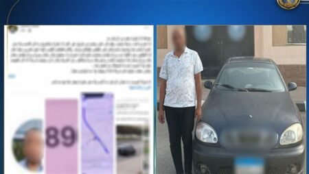 الداخلية تكشف ملابسات اعتداء قائد سيارة نقل ذكي على سيدة بالقليوبية