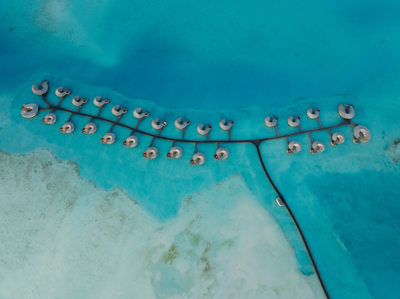 دراسة: 77% من المصريين يفضلون الذكاء الاصطناعي في التخطيط للسفر