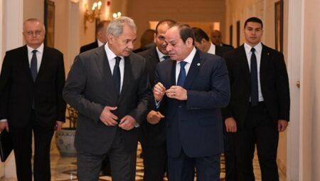 تفاصيل لقاء السيسي وأمين مجلس الأمن الروسي.. شاهد