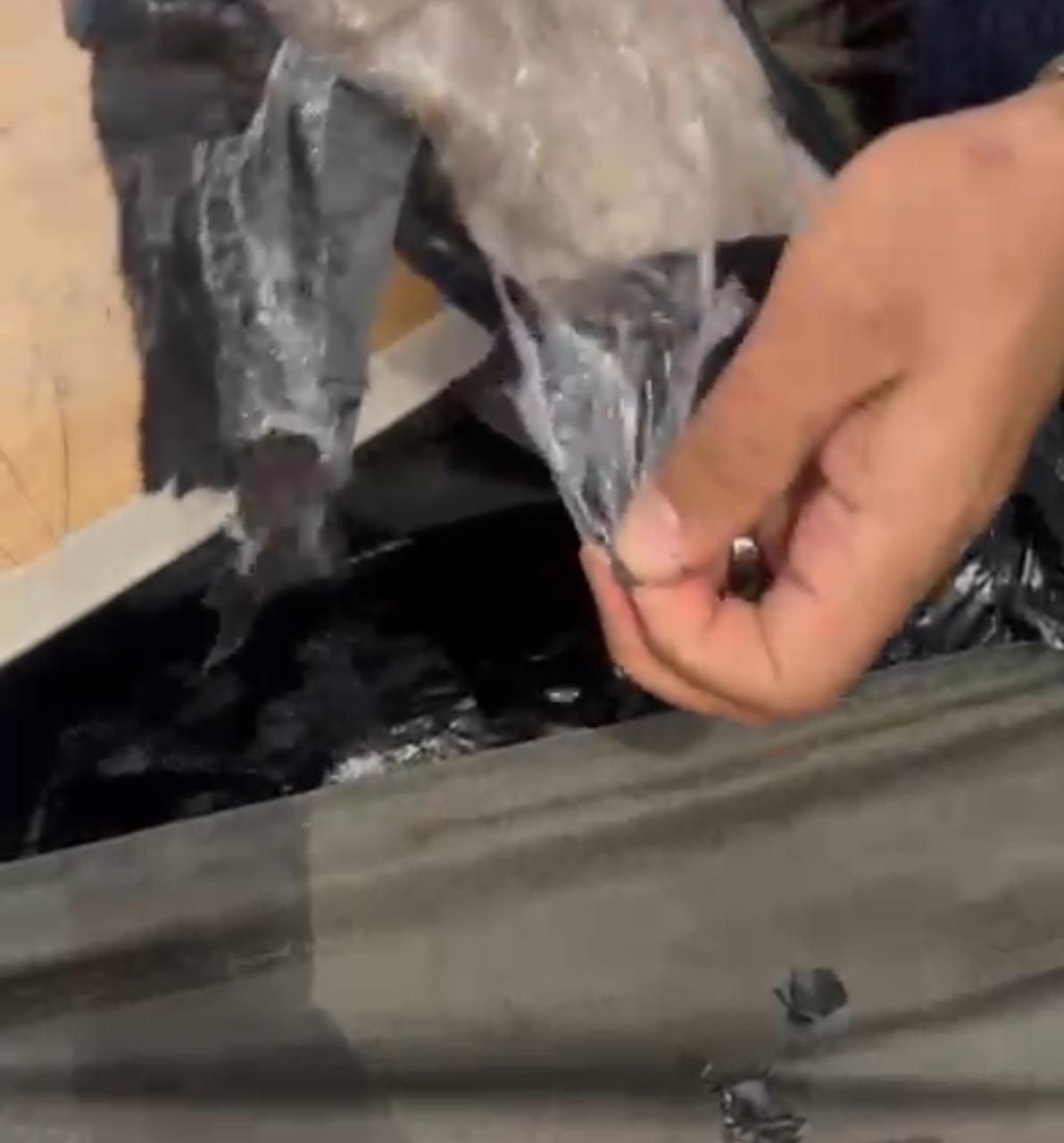 جمارك مطار القاهرة تتصدى لهجمات مهربي المخدرات بضبط 20 كيلو مجددًا