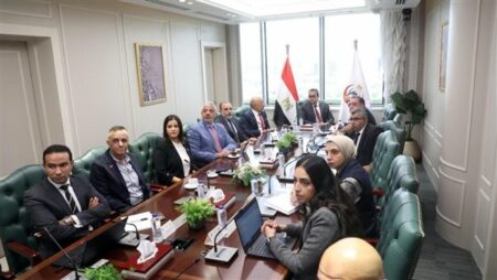 "إي آند مصر" تبحث مع وزير الصحة سبل تعزيز التعاون لتسريع التحول الرقمي في القطاع الصحي