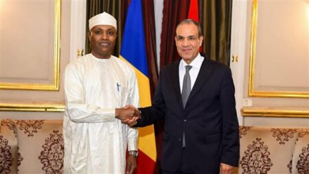 وزير الخارجية يستقبل نظيره التشادي لبحث تعزيز العلاقات