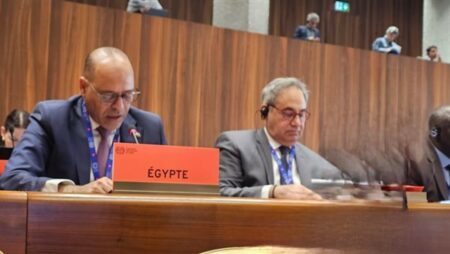 مصر تؤكد دعمها الكامل للحقوق المشروعة للشعب الفلسطيني في اجتماعات "العمل الدولية"