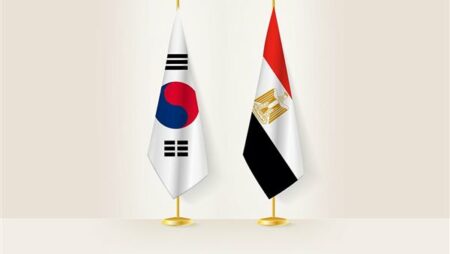 وزارة التخطيط تستعرض تطور الشراكة الاستراتيجية بين مصر وكوريا وزارة التخطيط تستعرض تطور الشراكة الاستراتيجية بين مصر وكوريا