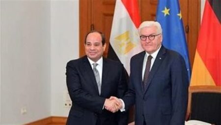 رئيس ألمانيا يوجه الشكر للسيسي لوقف حرب غزة رئيس ألمانيا يوجه الشكر للسيسي لوقف حرب غزة