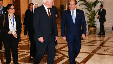 قمة مصرية ألمانية بالقاهرة.. السيسي يؤكد مواصلة تعزيز الشراكة الإستراتيجية