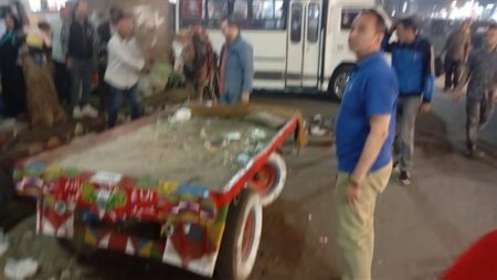 محافظة الجيزة تكثف حملاتها الليلية لضبط عربات الكارو بإمبابة والوراق محافظة الجيزة تكثف حملاتها الليلية لضبط عربات الكارو بإمبابة والوراق