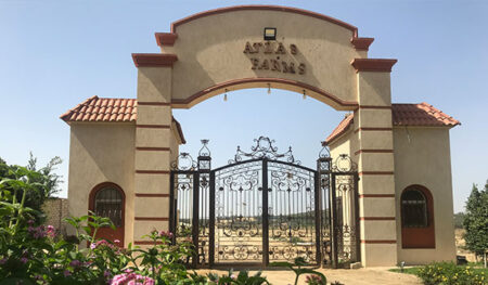 عمومية «أطلس للاستثمار» تعتمد زيادة رأسمال المصدر إلى 115 مليون جنيه تقريبا