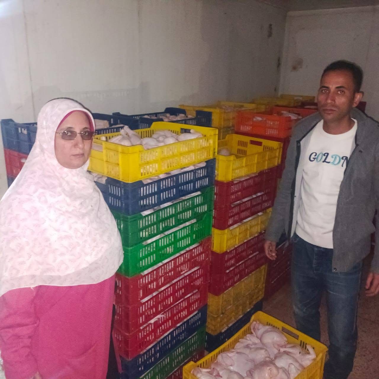 مديرية تموين الجيزة .. ضبط 182 شيكارة دقيق مدعم ولحوم فاسدة بالبدرشين