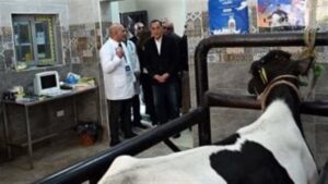 رئيس الوزراء يتفقد الوحدة البيطرية لقرية نوى ضمن مشروعات حياة كريمة بالقليوبية