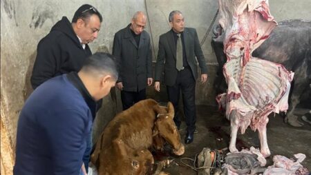 ضبط 189 طنًا من اللحوم الفاسدة خلال أسبوع ضبط 189 طنًا من اللحوم الفاسدة خلال أسبوع