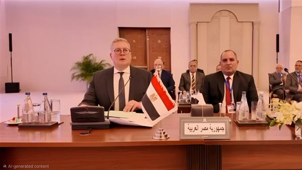 مصر تطرح 5 مبادرات جديدة لتعزيز التعاون العربي في تأمين الطاقة مصر تطرح 5 مبادرات جديدة لتعزيز التعاون العربي في تأمين الطاقة