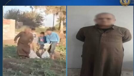 الداخلية تكشف ملابسات واقعة التعدي على كلاب صغيرة بالغربية الداخلية تكشف ملابسات واقعة التعدي على كلاب صغيرة بالغربية