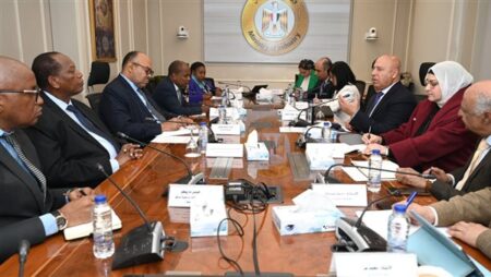 تبادل إنشاء مناطق لوجستية بين مصر وتنزانيا تبادل إنشاء مناطق لوجستية بين مصر وتنزانيا