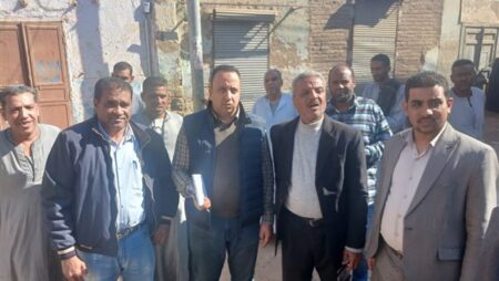 "الزراعة" تنفي علاقة "النمل الأبيض" بانهيار منازل في الأقصر