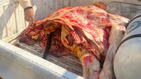 "الزراعة": ضبط 135 طنًا من اللحوم المخالفة خلال النصف الأول من ديسمبر