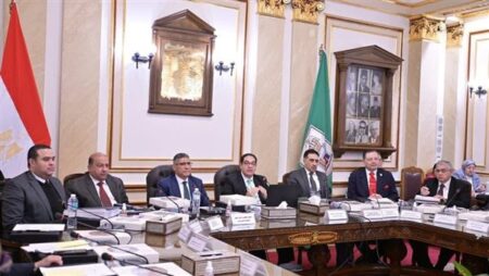 غادة عبد الرحيم تشيد بقرار جامعة القاهرة باعتماد المشاركة المجتمعية