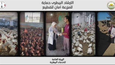 "الزراعة" تنفذ 8600 ندوة إرشادية بيطرية لدعم 100 ألف مربي خلال نوفمبر "الزراعة" تنفذ 8600 ندوة إرشادية بيطرية لدعم 100 ألف مربي خلال نوفمبر