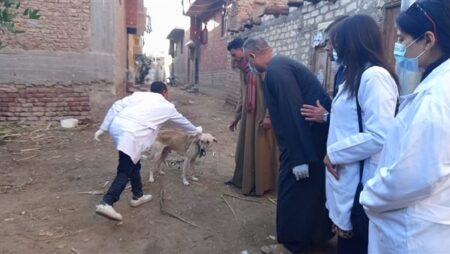 "الفلاحين" تكشف تفاصيل القافلة البيطرية لوزارة الزراعة وهيئة الطب البيطري بالأقصر