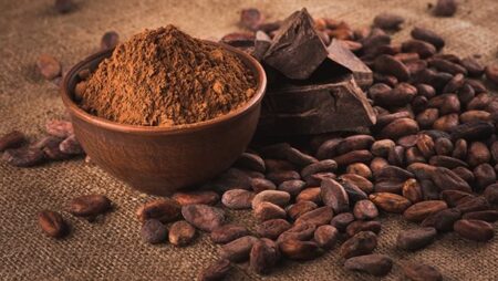 فائض غير مسبوق في الكاكاو بكوت ديفوار وسط أزمة سيولة وتراجع عالمي في إنتاج الشوكولاتة فائض غير مسبوق في الكاكاو بكوت ديفوار وسط أزمة سيولة وتراجع عالمي في إنتاج الشوكولاتة